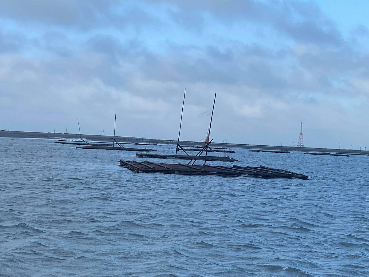 霸王級寒流帶來強風，造成蚵架損毀。 圖：嘉義記者公會/提供