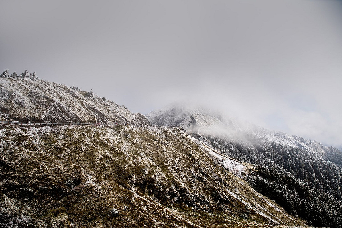 寒流來襲，合歡山昨天降下大雪。 圖：霹靂鄭／提供