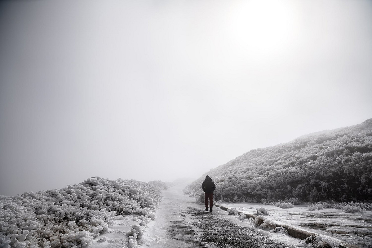 合歡山下大雪，公路總局呼籲遊客上山需注意保暖。 圖：霹靂鄭／提供