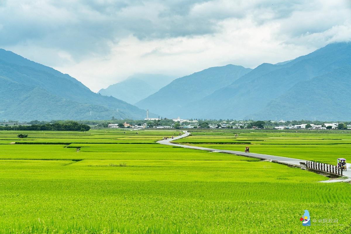 池上稻田。 圖：台東縣政府／提供