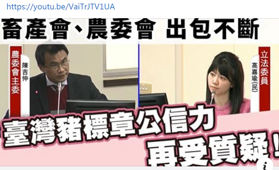 高嘉瑜連日砲轟陳吉仲 圖:擷取自臉書