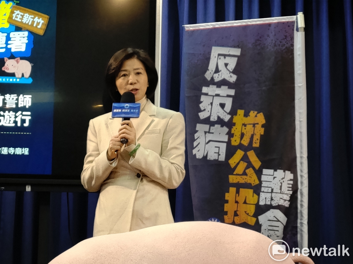 國民黨文傳會主委王育敏。 圖：黃建豪/攝
