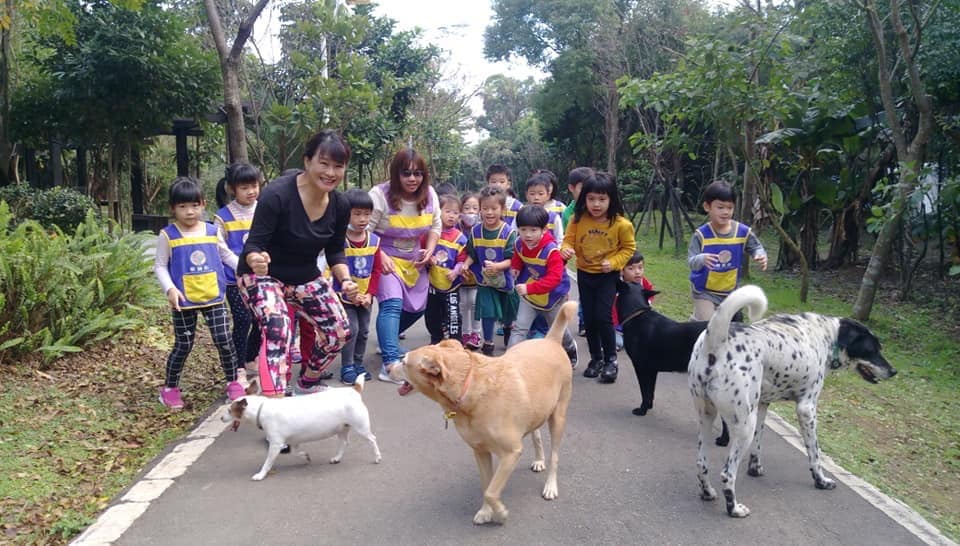 林口華邇街幼兒園和毛寶貝一起校外教學。  圖：新北市動保處提供