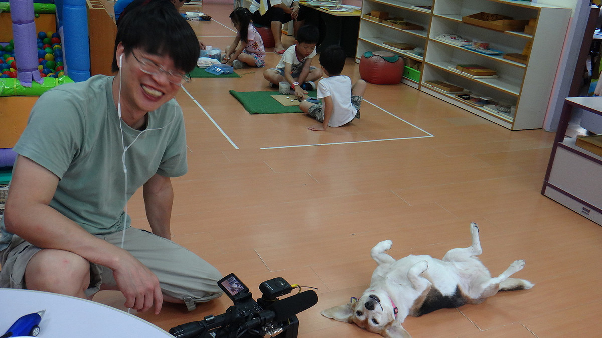 浪浪「珍珠」在林口華邇街幼兒園內放鬆撒嬌。  圖：新北市動保處提供