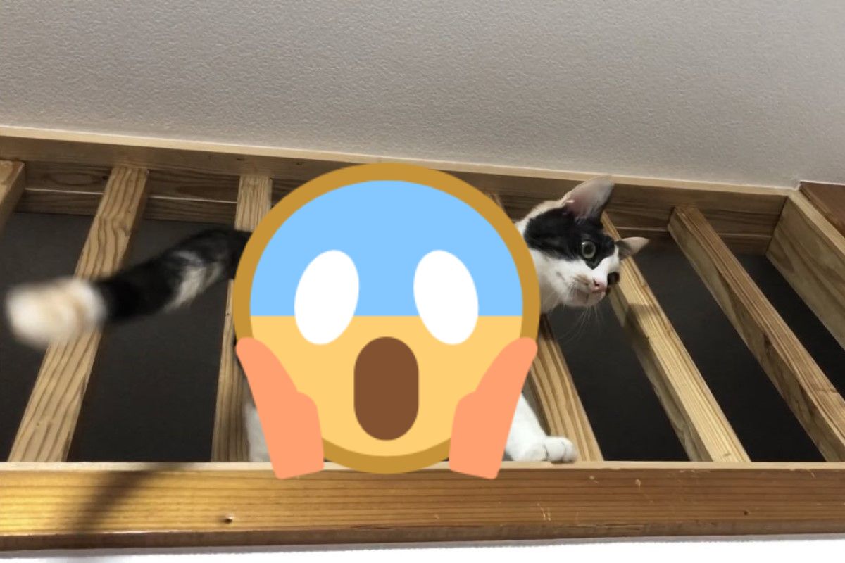Mikene：右手只是輔助…… 圖：取自twitter@kuronekonekota