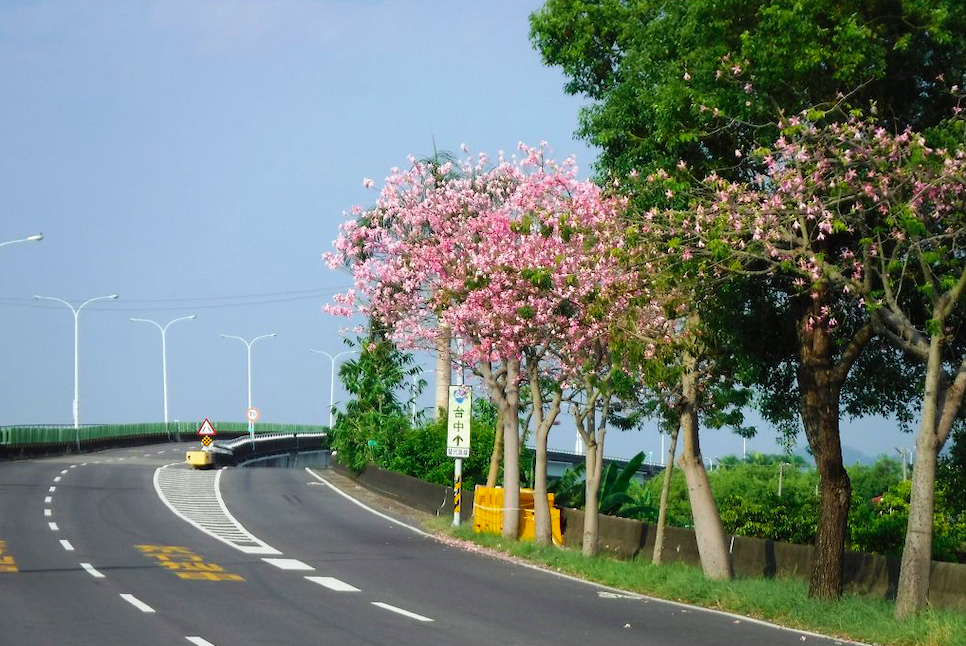 高公局建議欲往返南投地區旅客，可直接利用台63線中投公路避開國道塞車路段。(圖為台63線) 圖：取自公路總局（資料照）