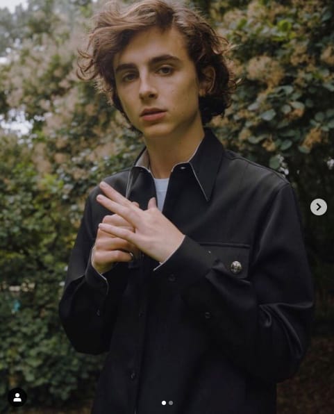Timothée Chalamet 曾拍攝過電影《淑女鳥》。 圖：取自Timothée Chalamet IG