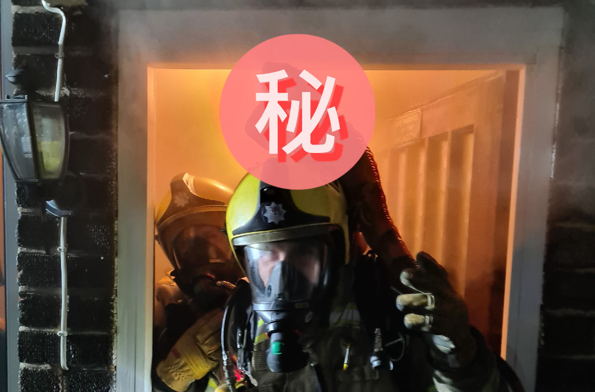 房屋失火，紅鬣蜥自己跳上「消防員頭盔」求生！ 圖／Twitter＠northantsfire