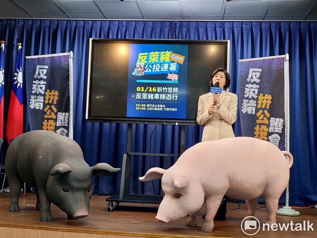 就國產豬肉價格持續上漲，國民黨砲轟農委會無能。 圖：黃建豪/攝（資料照）