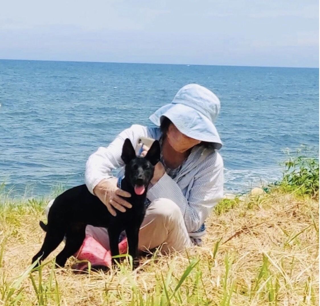 低調的貴婦志工Sharrow，每周2次到淡水動物之家照顧陪伴毛寶貝。  圖：新北市動保處提供