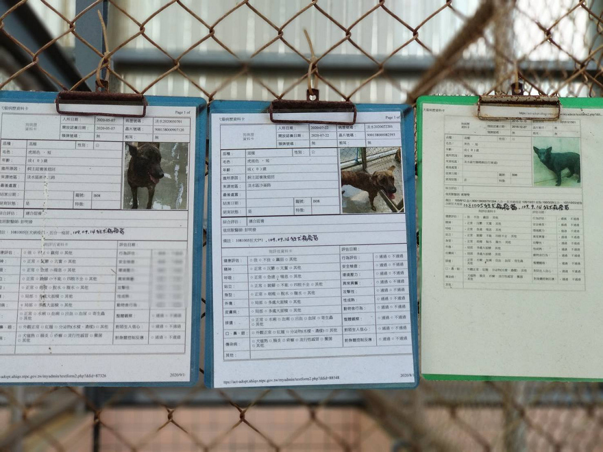 新北市動物之家籠舍門口掛立每隻毛寶貝健康狀況和個性，讓收養者一目了然增加媒合機率。 圖：新北市動保處提供