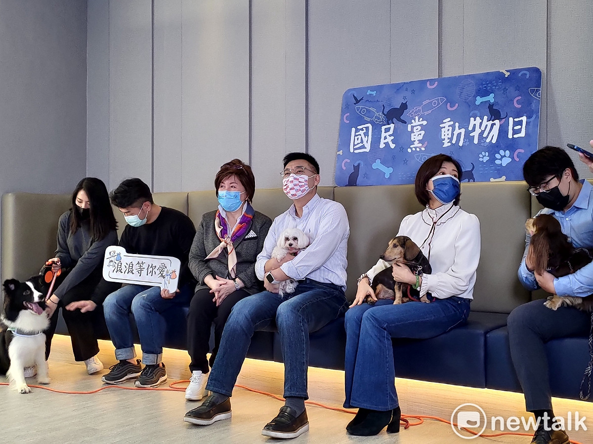 國民黨動物日活動，呼籲各界關懷流浪動物。 圖：黃建豪/攝