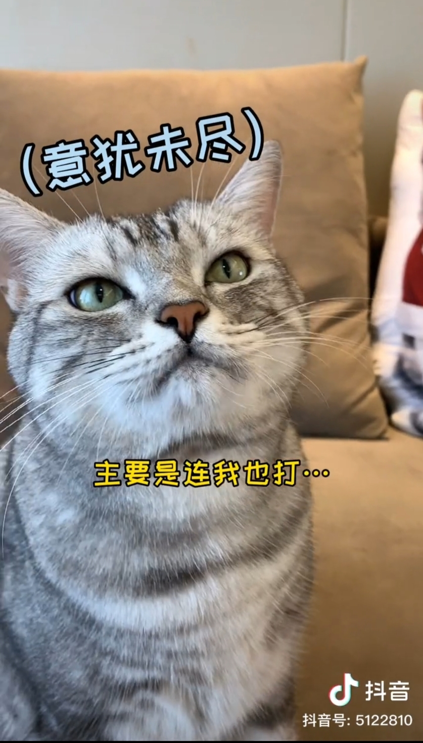 安生連安生爸都打。 圖：翻攝抖音/安生的爸爸