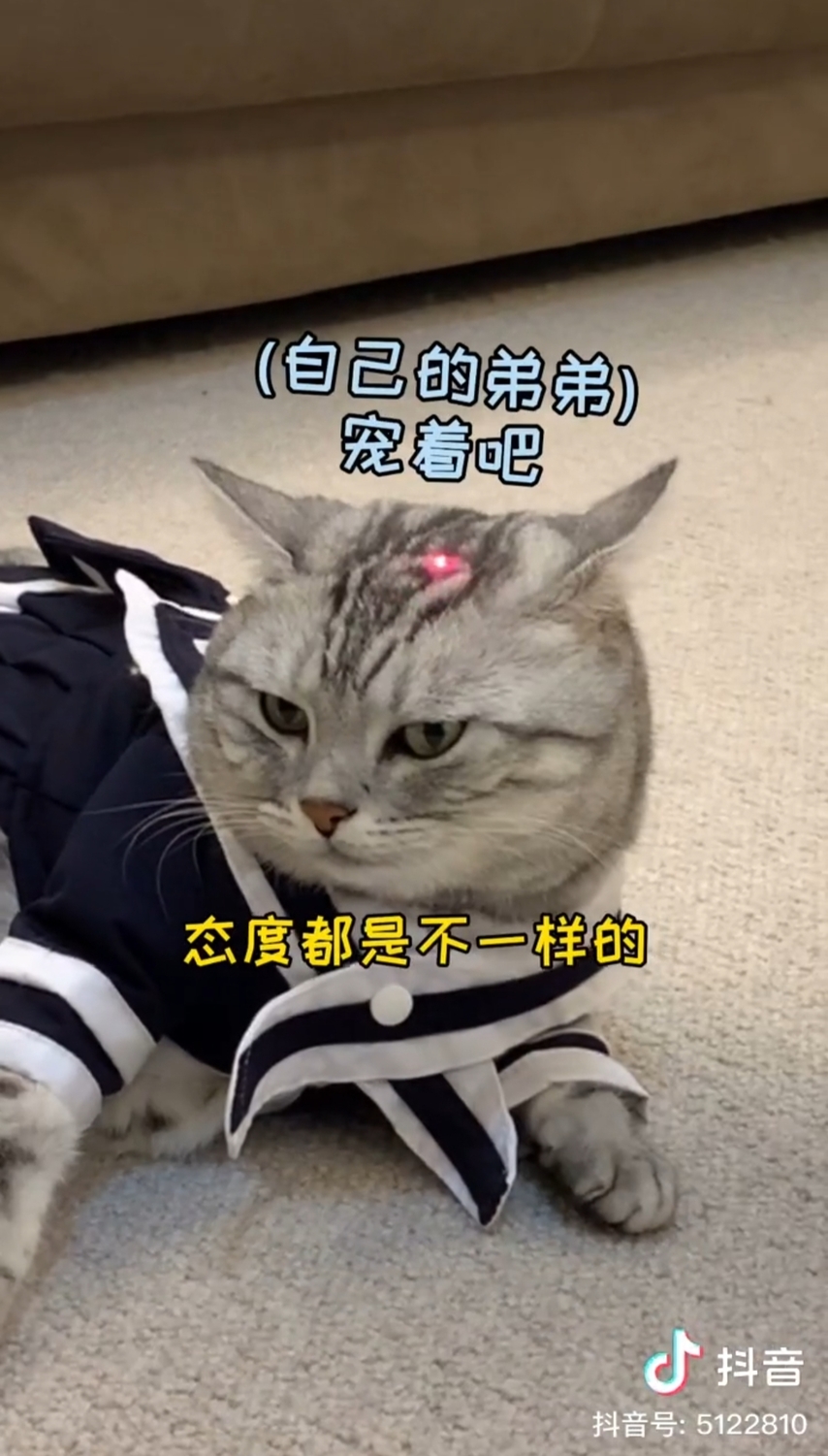 安生偏心寵弟弟。 圖：翻攝抖音/安生的爸爸