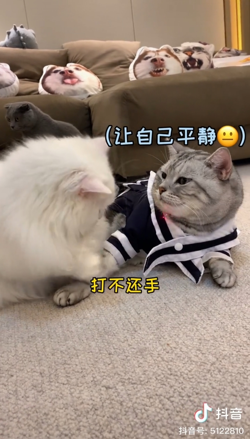 安生與弟弟大蒜。 圖：翻攝抖音/安生的爸爸