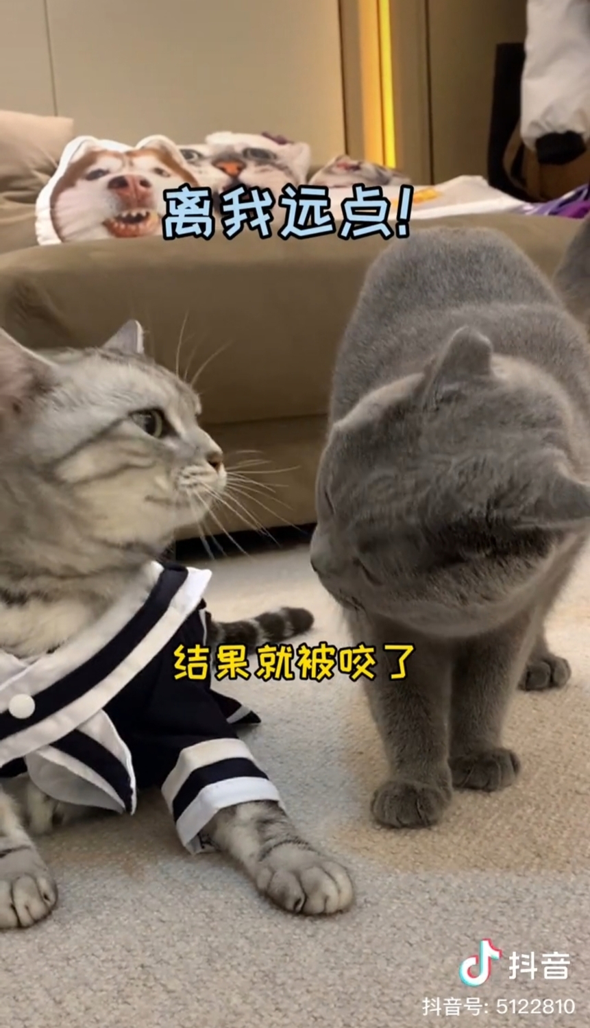 安生(左)與弟弟七月(右)。 圖：翻攝抖音/安生的爸爸