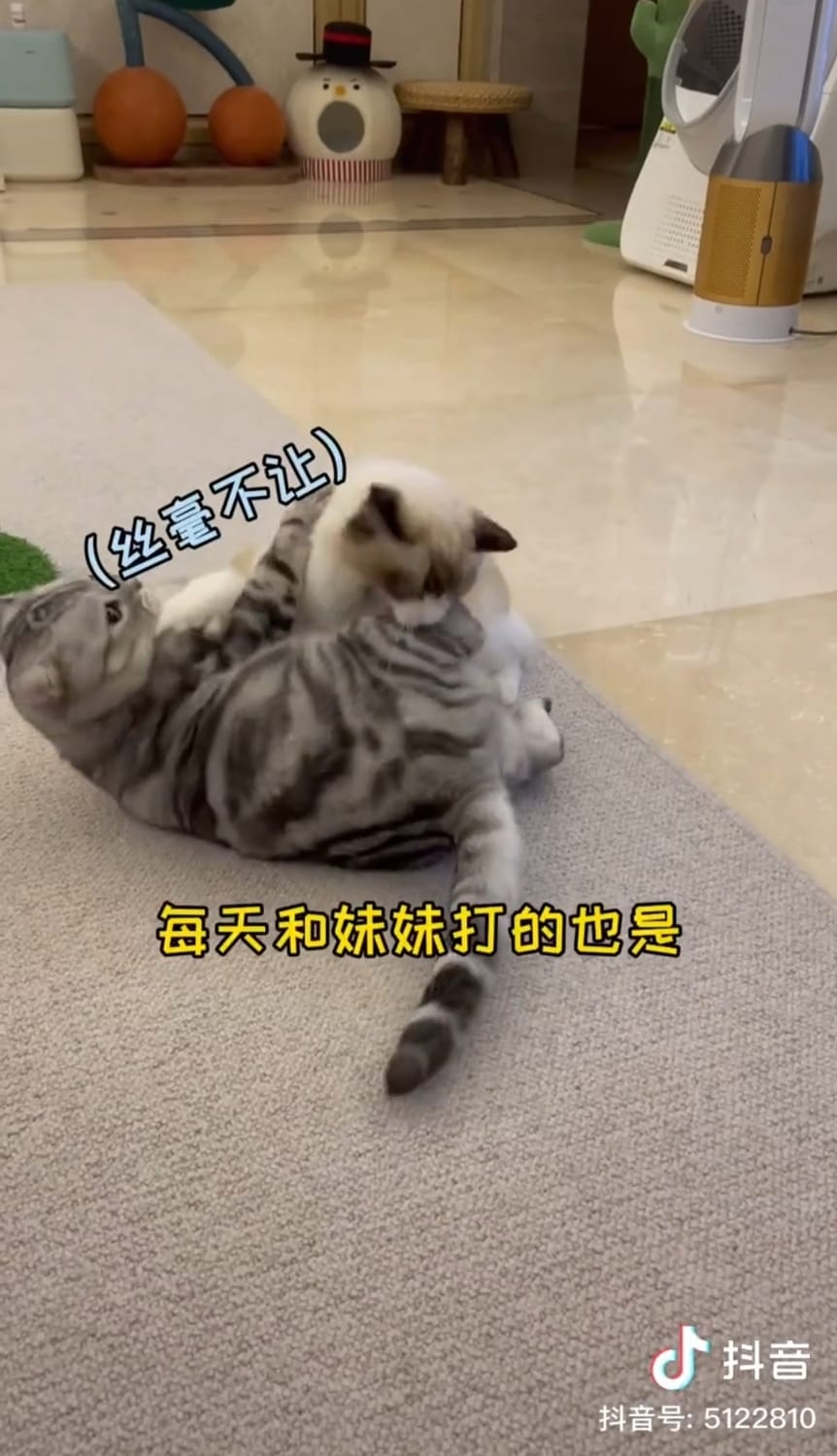 安生與妹妹。 圖：翻攝抖音/安生的爸爸