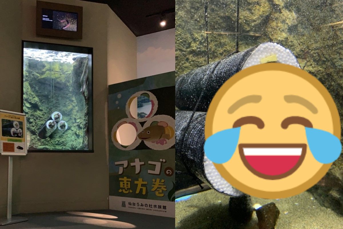 仙台水族館日前推出「星鰻惠方卷」受到遊客喜愛。 圖／twitter@sendaiuminomori