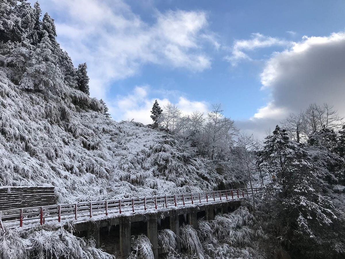 氣象專家吳德榮表示，這波冷氣團影響期間，太平山可望出現飄雪(圖為過去雪景)。 圖：太平山國家森林遊樂區/提供