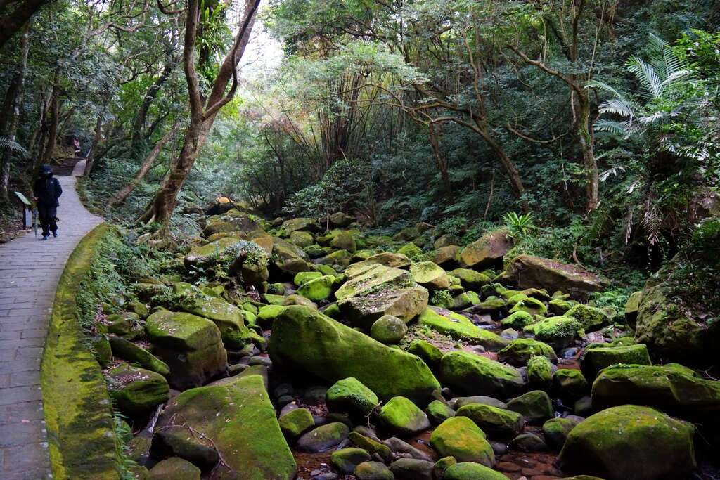 大溝溪生態治水園區與五指山系登山步道串聯。 圖：取自台北旅遊網