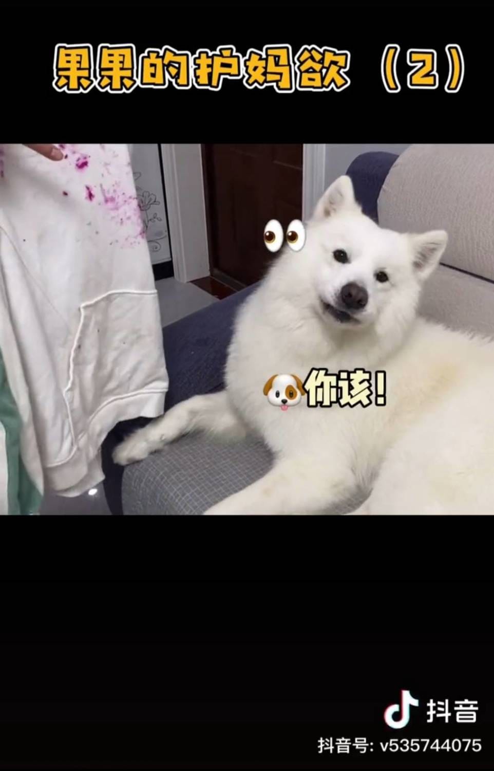 男友發現質問果果鴨。 圖：翻攝抖音／果果鴨