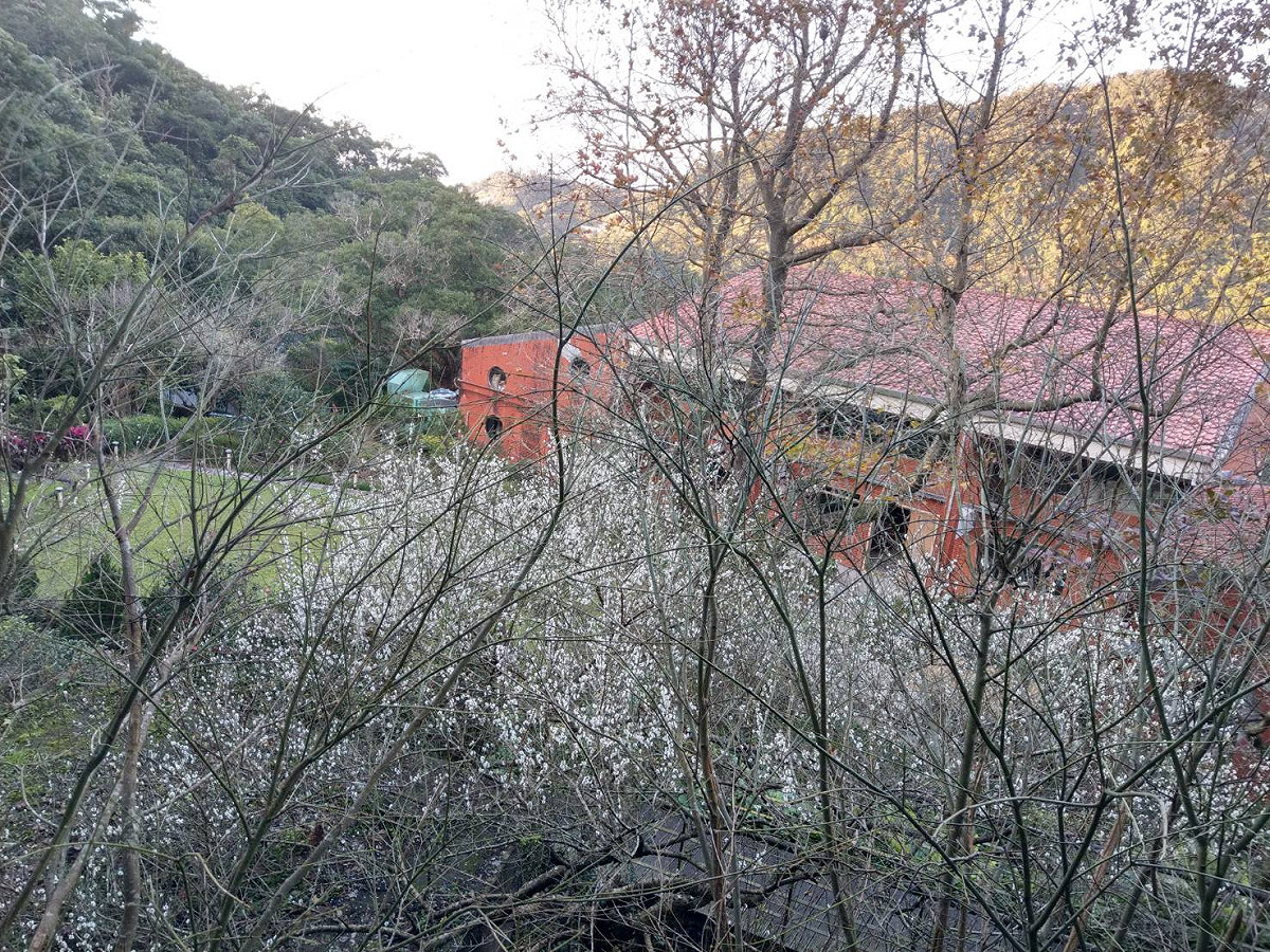 貓空的山林景緻令人身心舒暢。 圖：台北市產發局／提供