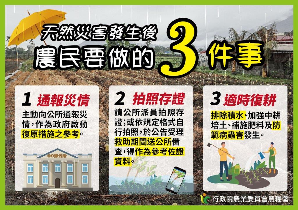 農作物災害發生後建議的作法 圖：農糧署／提供