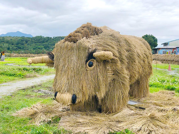 稻草藝術季的藝術品之一髦牛。 圖：取自農業易遊網