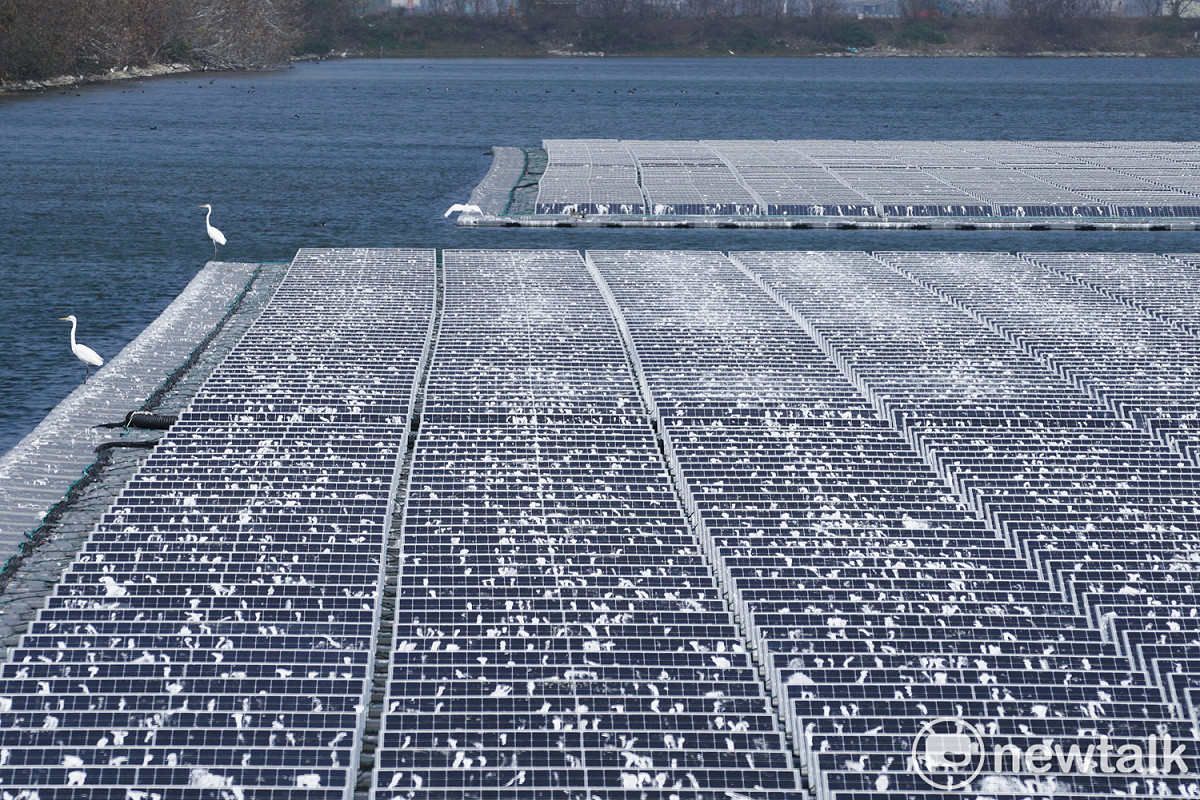 嘉義新塭滯洪池的浮台型光電系統2020年9月併網發電不久，馬上遇到秋冬的候鳥季節，光電板上滿佈著大白鷺、小白鷺等鷺鷥科鳥類留下大量的白色糞便，蔚為奇觀也非常驚人！圖為兩隻鷺鷥站在光電板浮台邊緣休息。 圖：張良一/攝