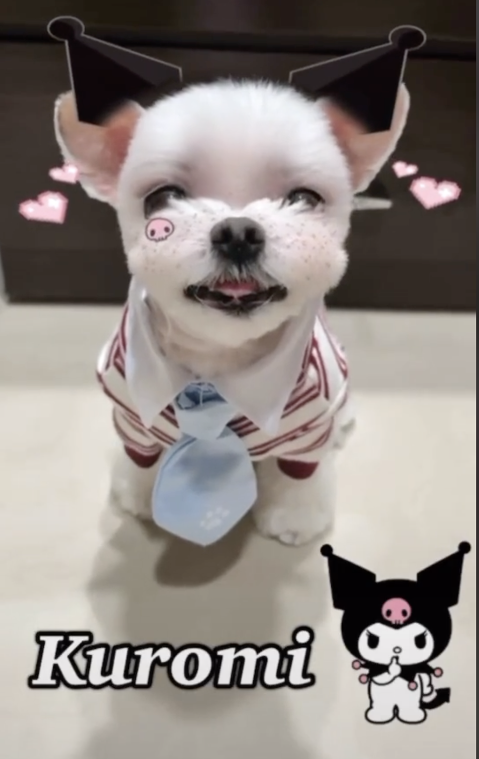 黃吉吉扮酷洛米。 圖：翻攝Tok Tok／黃吉吉的無聊日子