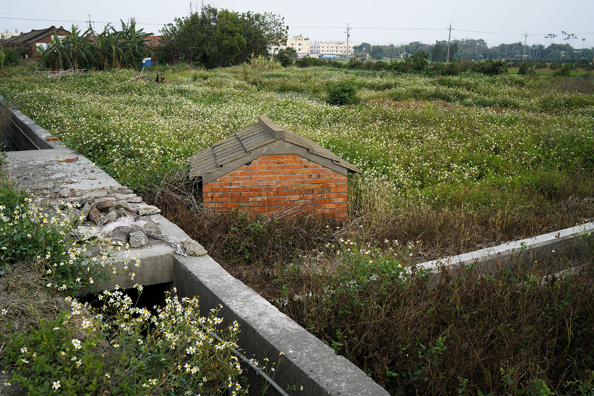彰化縣福興鄉一處休耕的農地和廢棄的土地公廟。 圖：張良一/攝