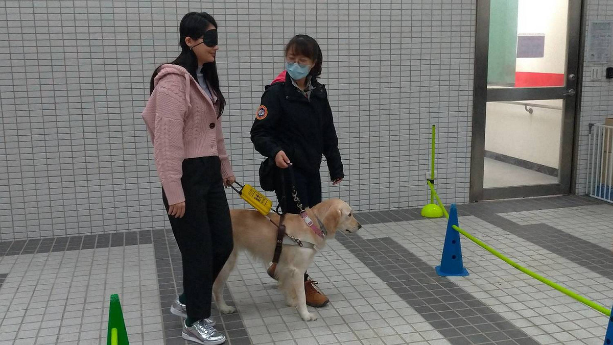賴品妤體驗視障者讓導盲犬牽引。 圖：陳佩君/攝