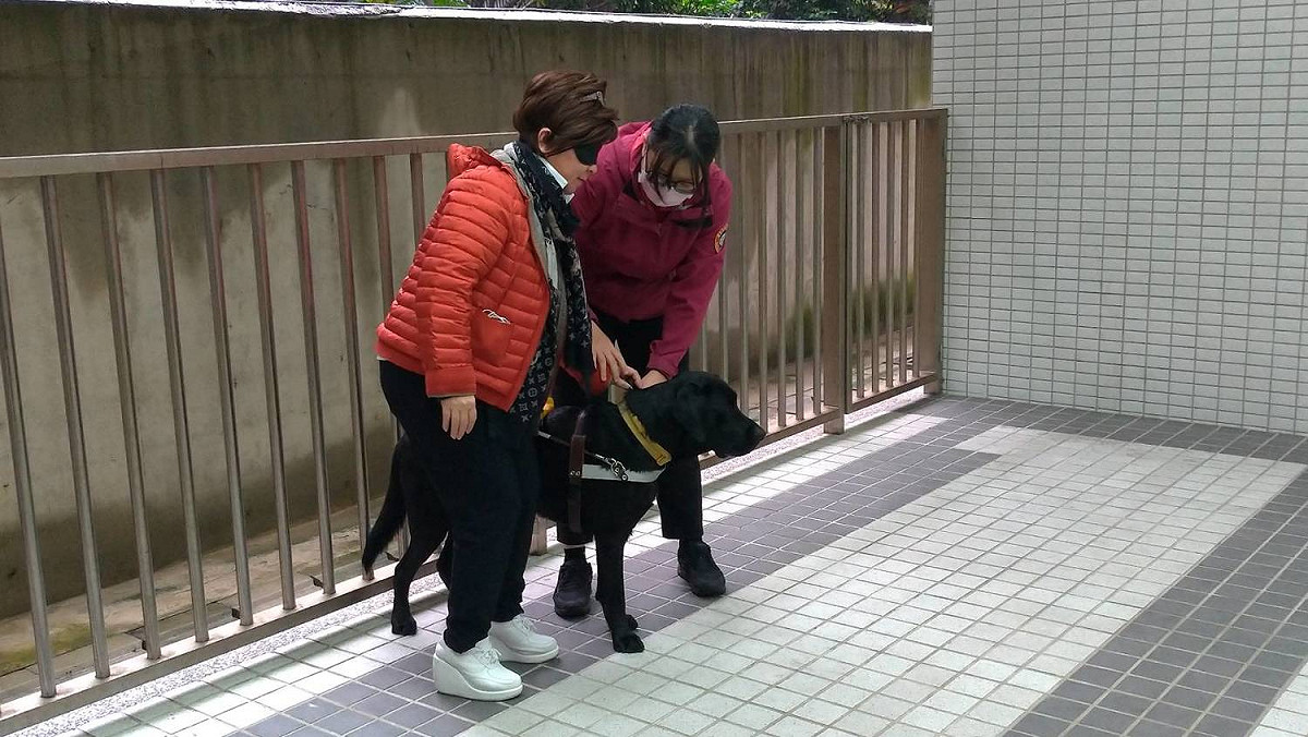 張育美讓導盲犬牽引。 圖：陳佩君/攝