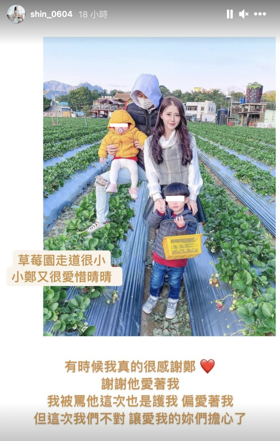 網紅阿芯一家「踩」草莓事件。 圖：翻攝IG／阿芯