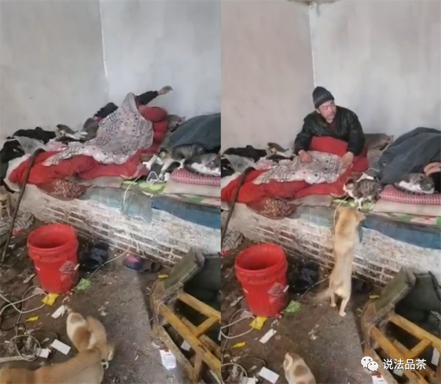 中國一對父子不管吃喝拉撒睡都在床上，甚至在床前只擺了一個紅色桶子，拿來做為裝排泄及排遺物的工具 圖:翻攝自權謀網