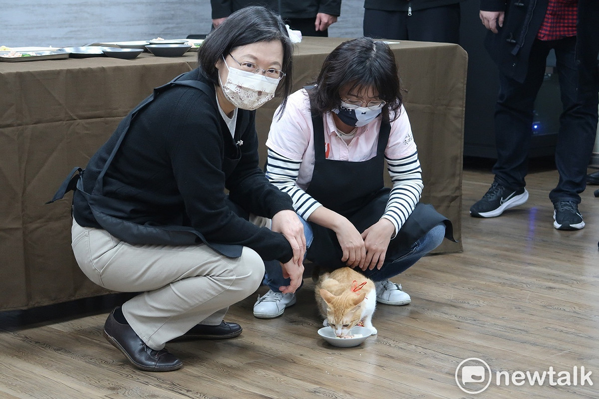 總統蔡英文看貓咪「金足」（阿腳）用餐 圖：林朝億/攝