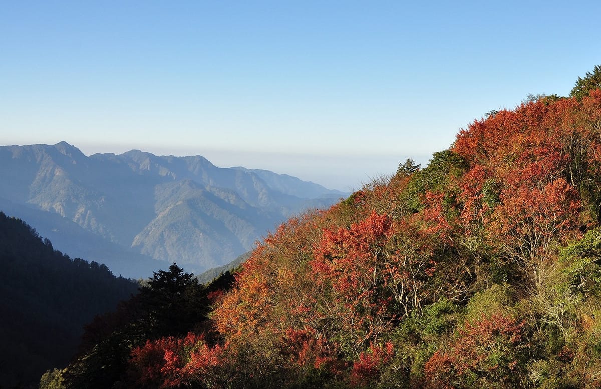 依據「嚴重特殊傳染性肺炎中央流行疫情指揮中心」宣布全國疫情警戒第三級延長至6月14日，營建署延長各國家公園遊憩據點及山屋相關防疫管制規定。圖為玉山國家公園。 圖：內政部提供