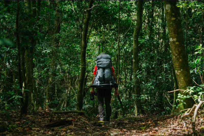 從登山健行為始，再以泡湯做為結束，是入谷關的登山儀式。 圖：交通部觀光局／提供