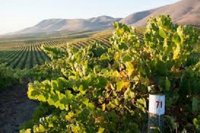 聖瑪麗亞谷盛產葡萄，因此也有許多釀酒廠及酒館。 圖 : 翻攝自fredswan.wine