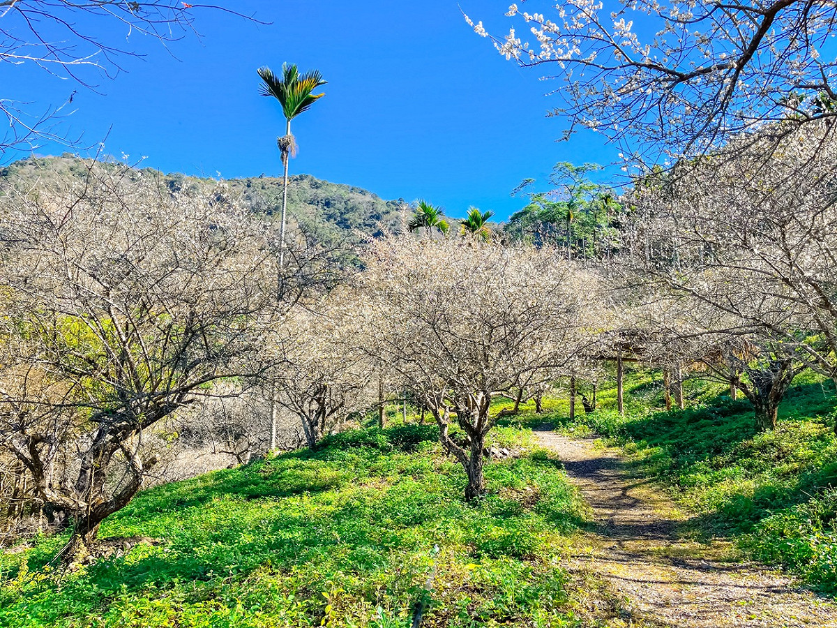 「高雄後花園」美景值得一遊。 圖：高雄市政府觀光局/提供