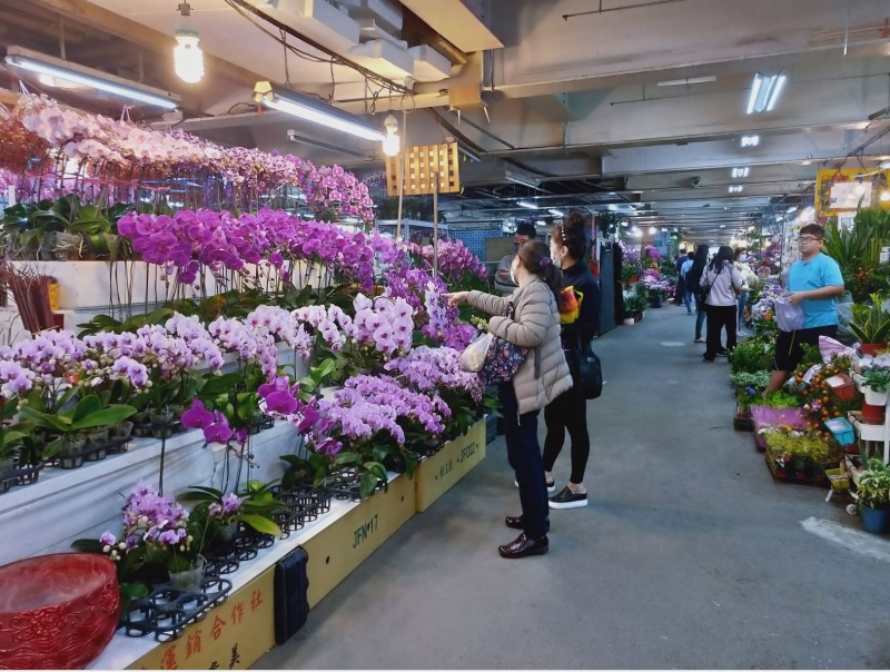 板橋花市提醒民眾，進花市保持社交距離、戴口罩。 圖：新北市農業局提供