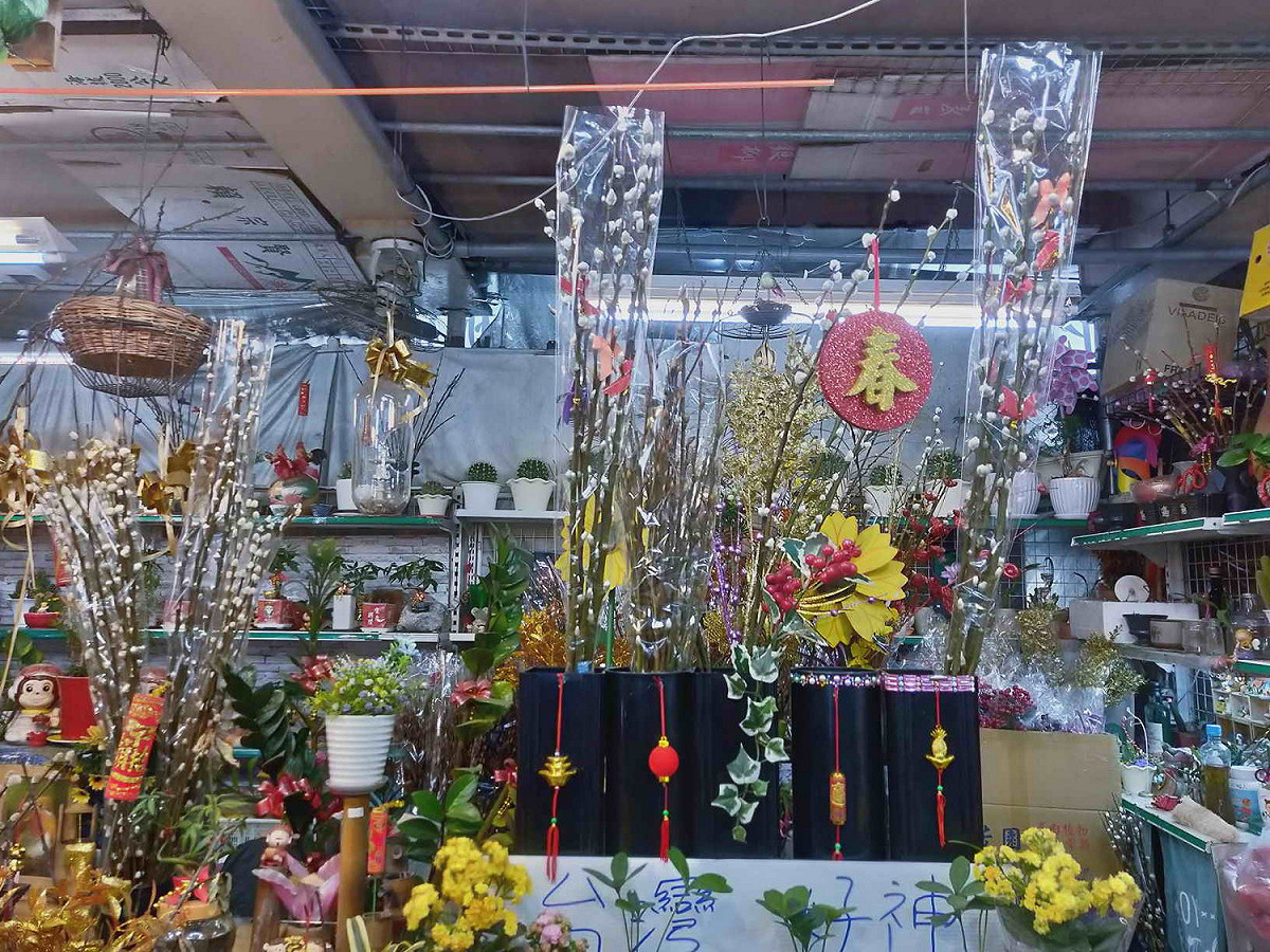 銀柳擺盆是春節擺飾不可獲缺的。 圖：新北市農業局提供