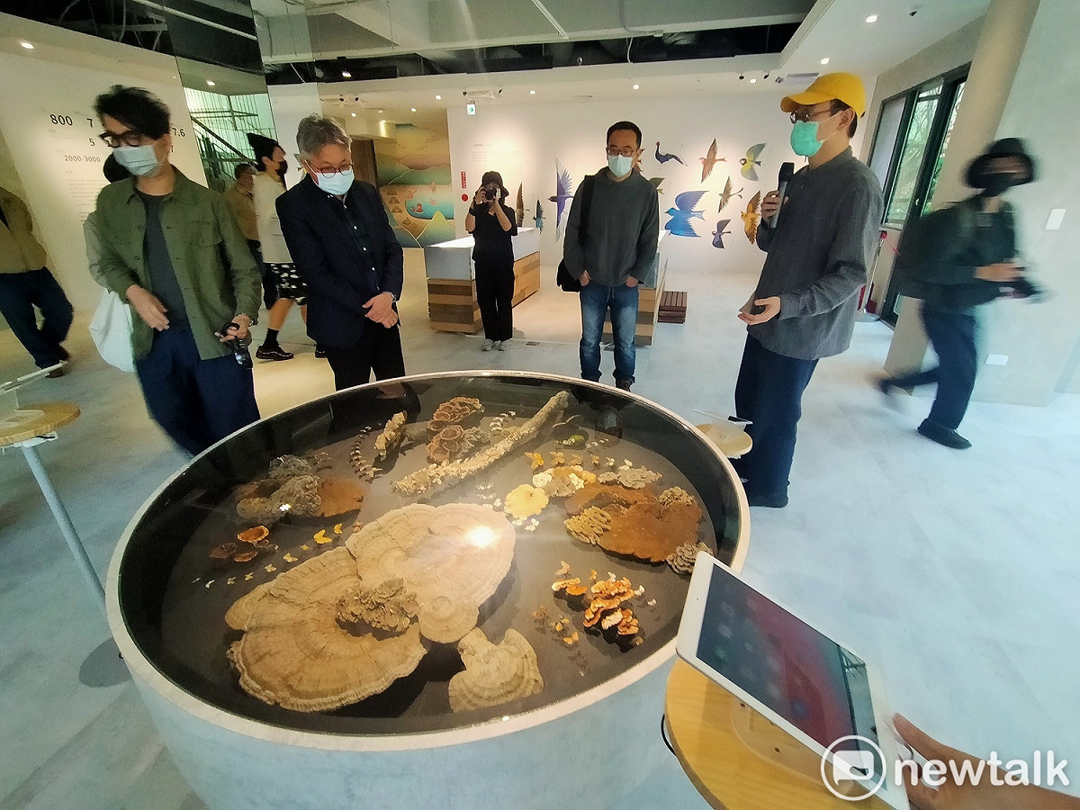 入關博物館有當地動植物標本。 唐復年/攝