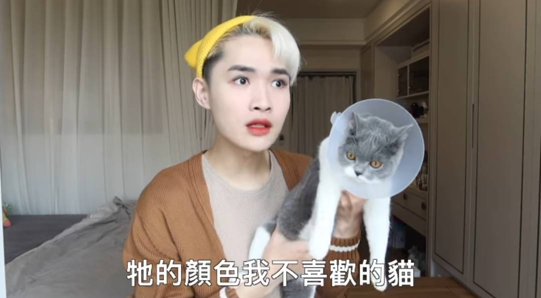 鍾明軒嗆不喜歡的貓養他幹嘛。 圖：翻攝IG／鍾明軒