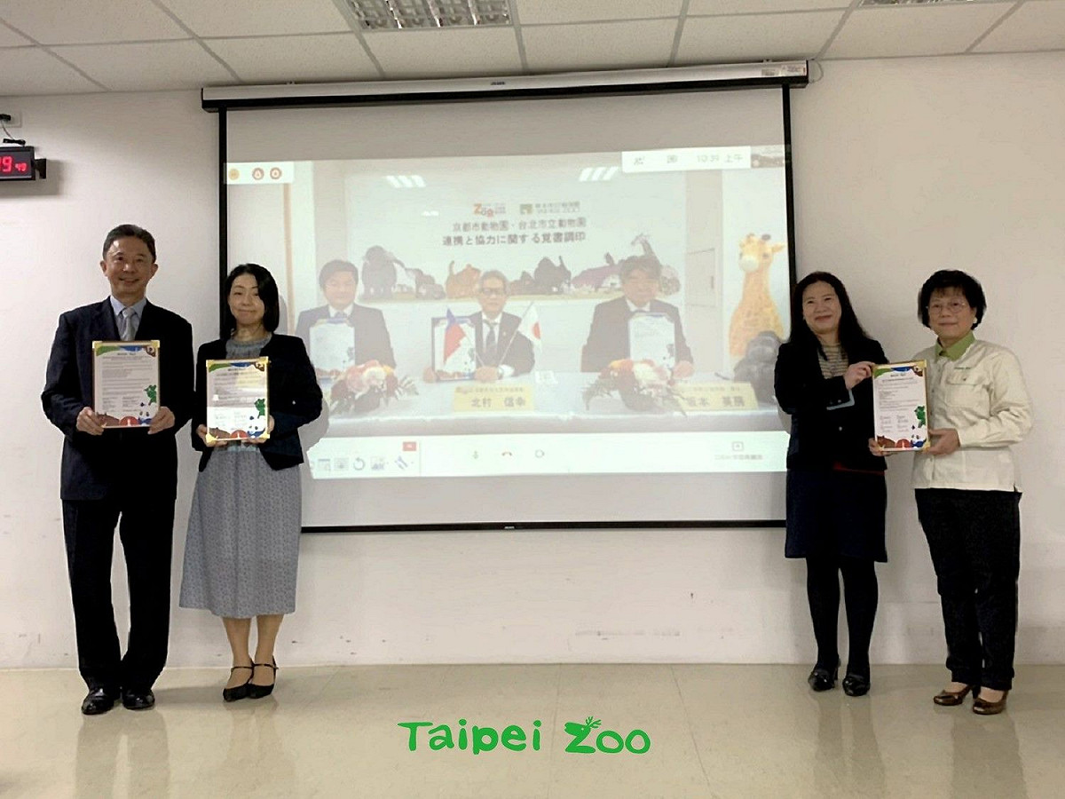 台北市立動物園與日本京都市動物園今日透過線上簽約完成保育合作友好協定。 圖：台北市立動物園 / 提供