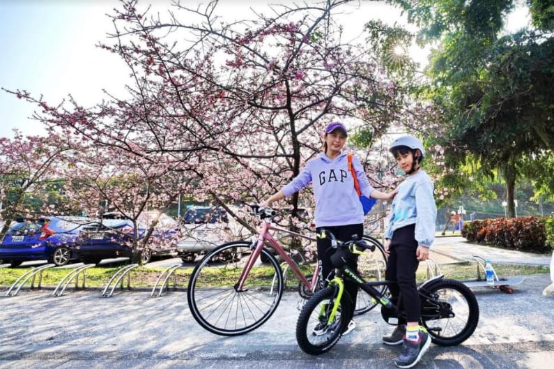 新店陽光運動園區的粉紅焦點是河津櫻，花期約至3月中旬。 圖：新北市高灘處／提供