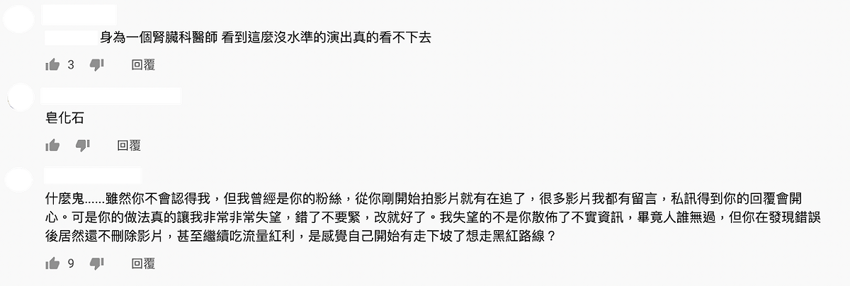 曾經為愛莉莎莎的粉絲留言。 圖：翻攝Youtube／愛莉莎莎