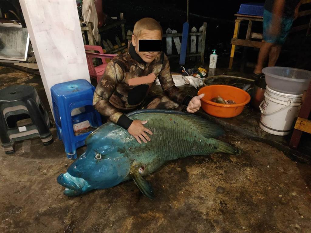 蘭嶼有民眾獵捕龍王鯛，還拍照po網炫耀，行為恐已觸法。 圖：翻攝自網路