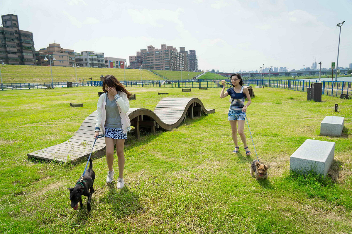 新北市寵物公園寬敞無拘無束的奔馳空間。 圖：新北市動保處提供