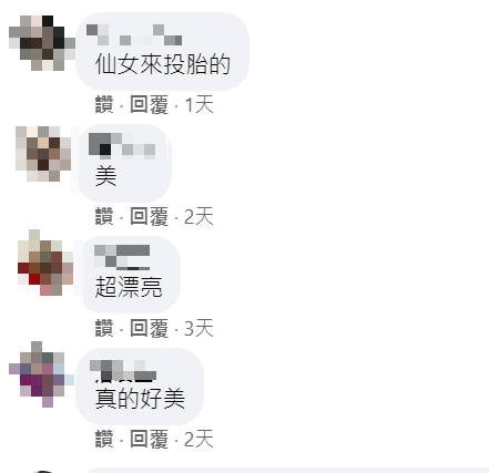 王彩樺女兒的美照讓網友紛紛稱讚。 圖：取自王彩樺-台灣濱崎步臉書